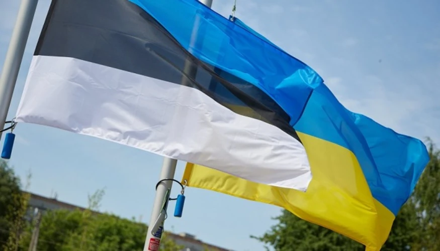 МЗС Естонії виділило 340 тисяч євро на зимову підготовку України