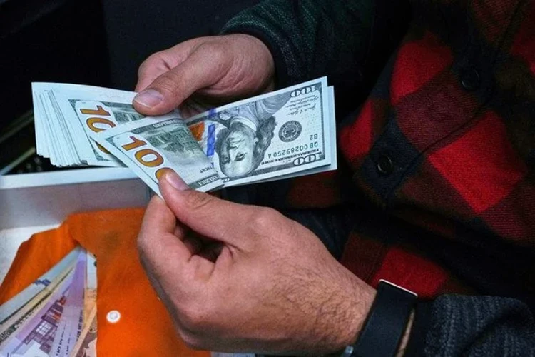 НБУ встановив офіційний курс валют на 20 жовтня: долар сягнув 45 грн
